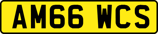 AM66WCS