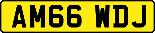 AM66WDJ