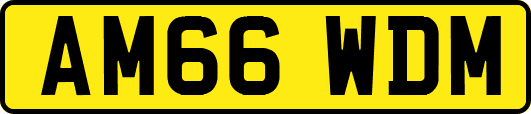 AM66WDM
