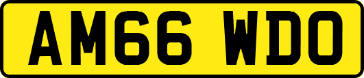 AM66WDO