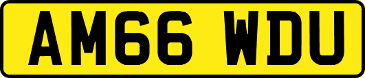 AM66WDU
