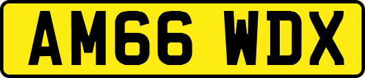 AM66WDX