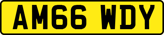 AM66WDY