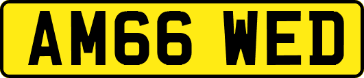 AM66WED