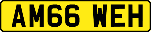 AM66WEH