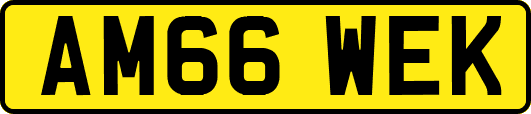AM66WEK