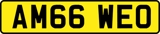 AM66WEO