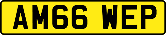 AM66WEP