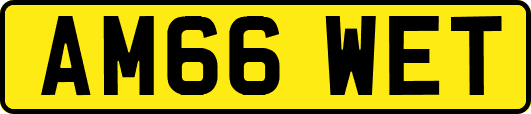 AM66WET