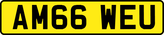AM66WEU