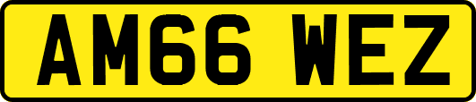 AM66WEZ