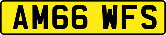 AM66WFS