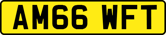 AM66WFT