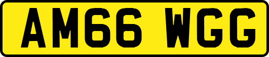AM66WGG