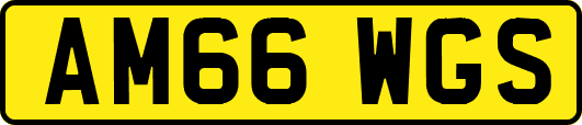 AM66WGS