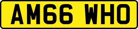 AM66WHO