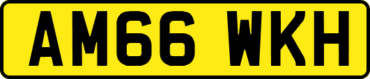 AM66WKH