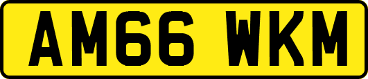 AM66WKM