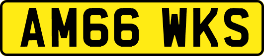 AM66WKS