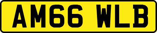 AM66WLB