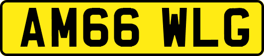 AM66WLG