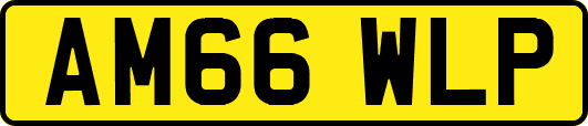 AM66WLP