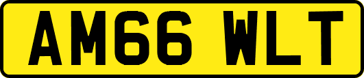 AM66WLT