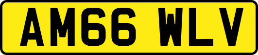AM66WLV