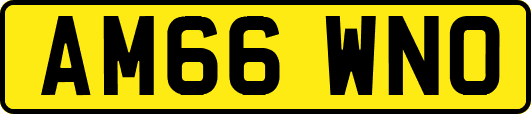 AM66WNO