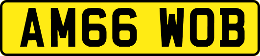 AM66WOB