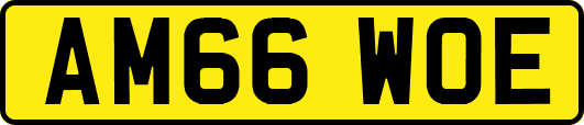AM66WOE