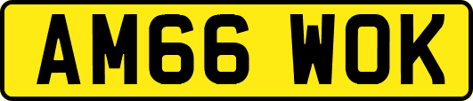 AM66WOK