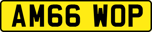 AM66WOP