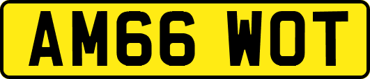 AM66WOT