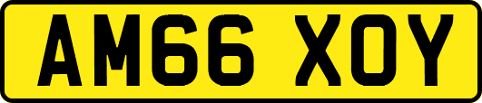 AM66XOY