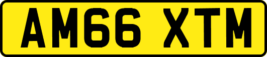 AM66XTM