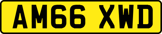 AM66XWD