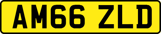 AM66ZLD