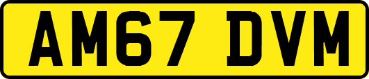 AM67DVM