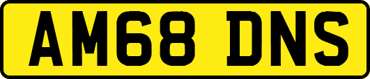 AM68DNS