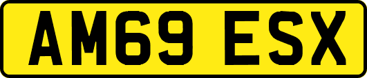 AM69ESX