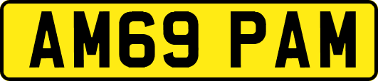 AM69PAM