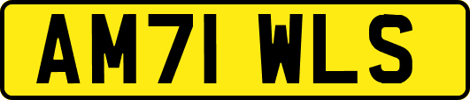 AM71WLS