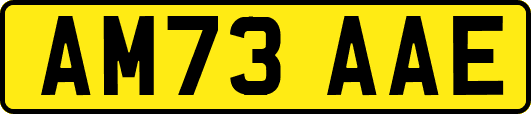AM73AAE