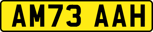 AM73AAH