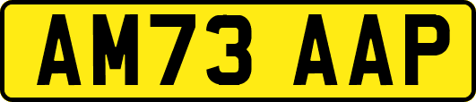AM73AAP