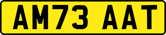 AM73AAT