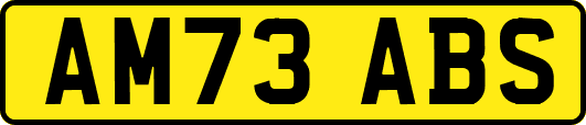 AM73ABS