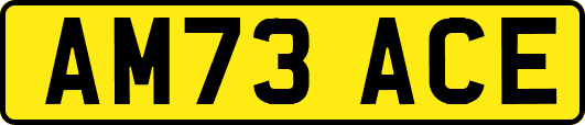 AM73ACE
