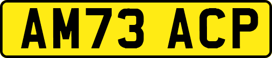 AM73ACP